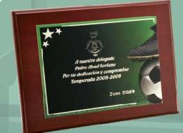 Placa de metal en base de resina