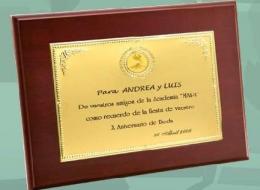 Placa de metal en base de resina